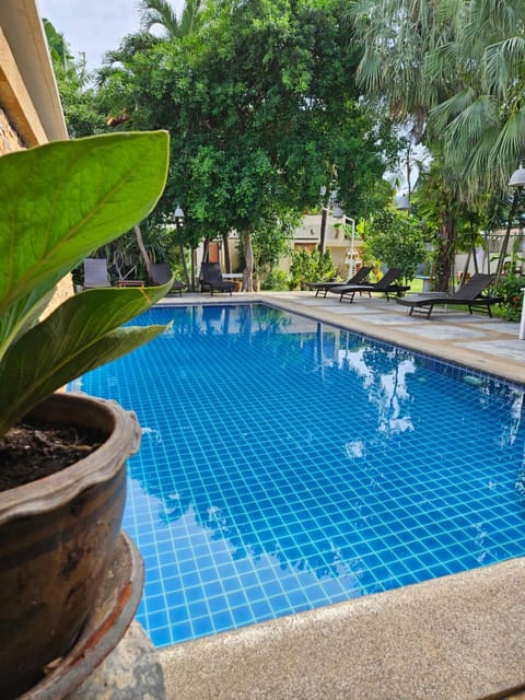 Swimming pool, Swimming pool