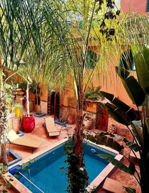 Garden, Pool view, Swimming pool, Swimming pool, sunbed