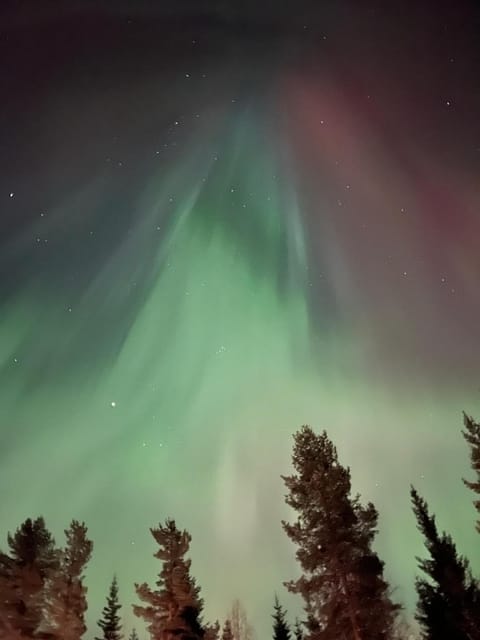 Villa Kajo House in Rovaniemi