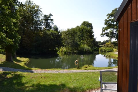 Natural landscape, Garden, Garden view