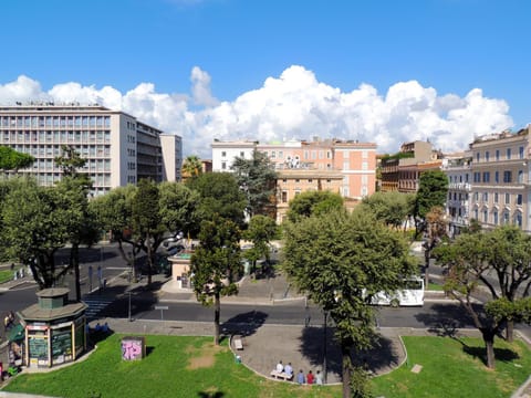 Day, Garden view