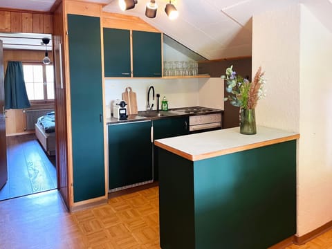 Ferienwohnung Dachnest Apartment in Canton of Grisons