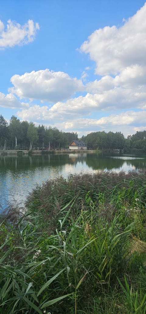 Natural landscape, Lake view
