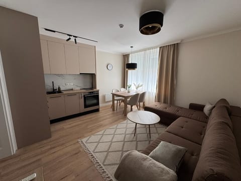 Kitchen or kitchenette, Living room, Seating area, Dining area, oven