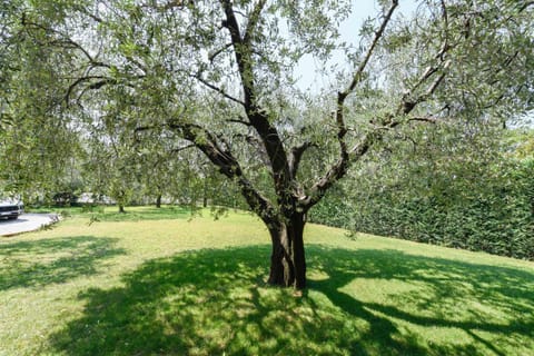 Il Giardino degli Ulivi Apartment in Province of Brescia
