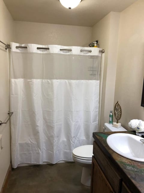 Trail Street Condo Downstairs House in Missoula