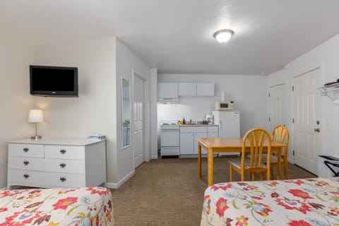 2 Compact Combined Family Studios Inn in Michigan