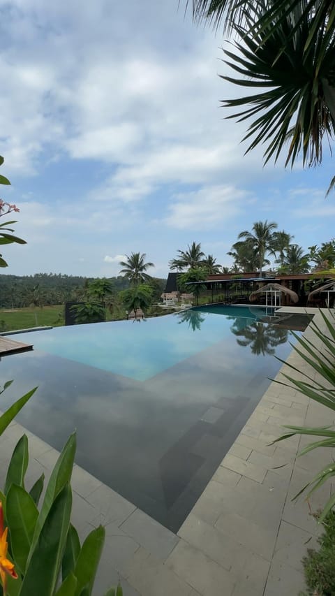 Natural landscape, Garden, Garden view, Pool view, Swimming pool