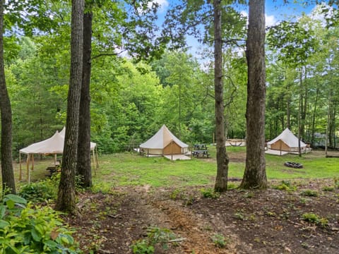 Forest Glamping Retreat with Hot Tub & Fire in Red River Gorge, Wooded with Full Bath House Luxury tent in Kentucky