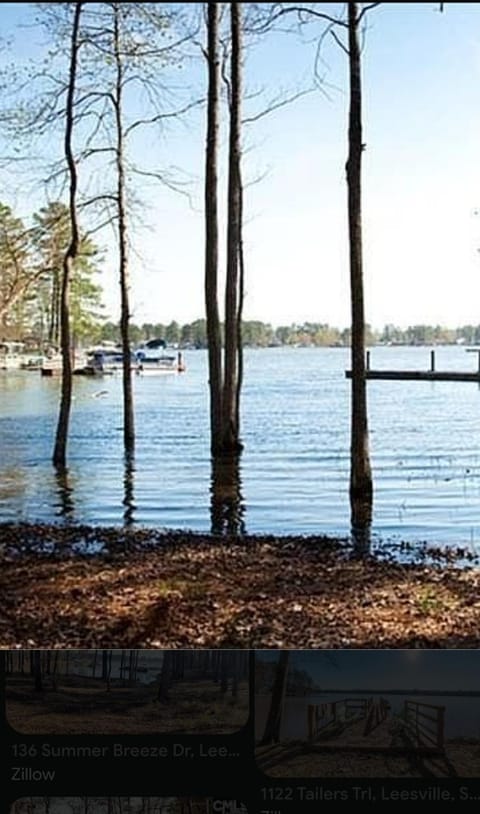 Lake view