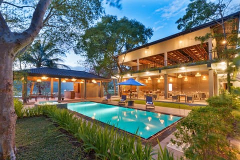 Property building, Patio, Garden, Garden view, Pool view, Swimming pool, sunbed
