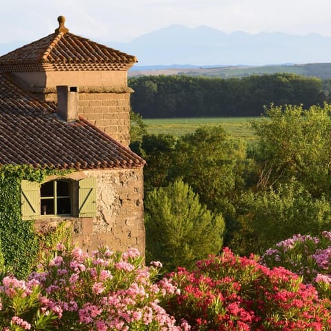 Property view