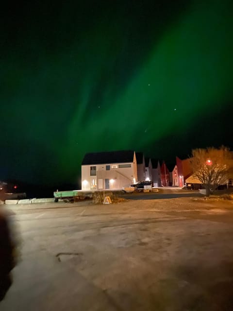 Opplev nordlyset og bo ved sjøkanten! Apartment in Lofoten