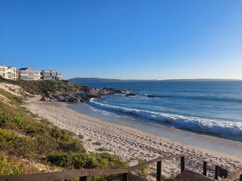 Beach, Area and facilities