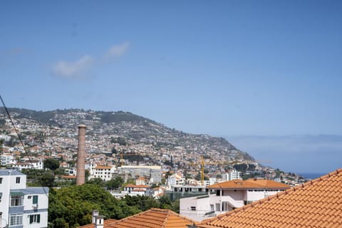 View (from property/room)