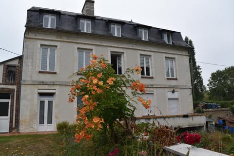 Property building, Garden, Garden view