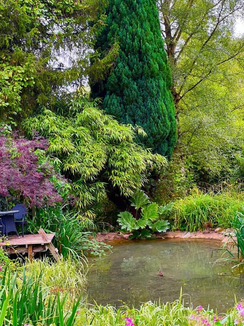 Storeybook cottage House in Oswestry