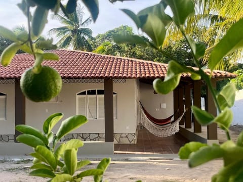 Property building, Garden, Garden view