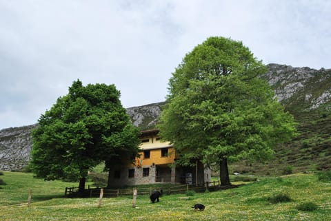 Property view