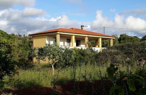 Property building, Spring, Day, Natural landscape, Garden, Garden view