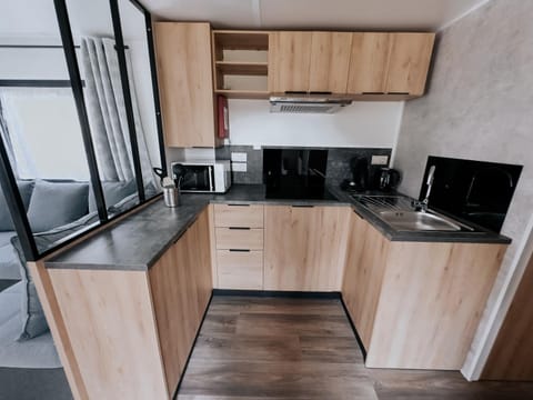 Kitchen or kitchenette, dishwasher, oven, stove