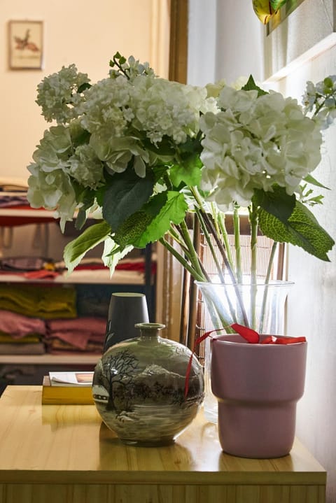 PP Stanza Privata in Appartamento Pigneto Vacation rental in Rome