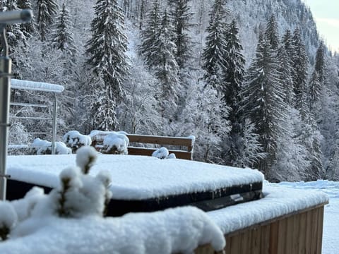 Propriété Bel Air, FANTASTIQUE Apartment in Montriond