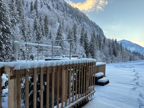 Propriété Bel Air, FANTASTIQUE Apartment in Montriond