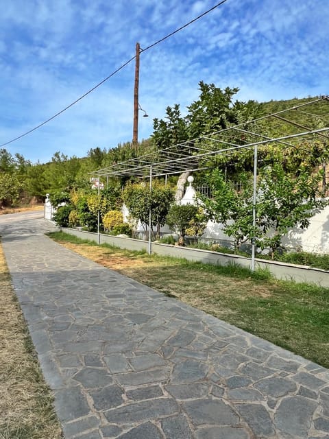 Maria's Rooms Hotel in Thasos