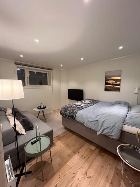 Bed, TV and multimedia, Living room, Bedroom