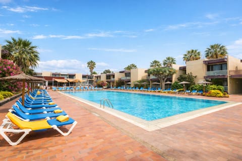 Day, Pool view, Swimming pool, sunbed