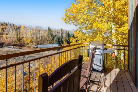 Terraces 1202 - Terraces Pathway Apartment in Telluride