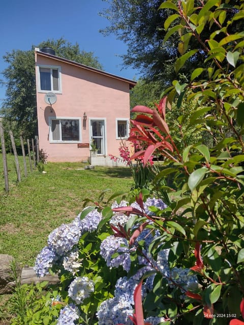 Property building, Spring, Garden view