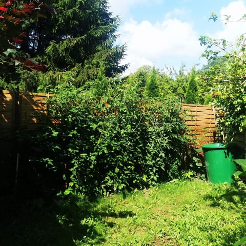 Ferienhaus 1 Brodhagen Apartment in Mecklenburg-Vorpommern, Germany