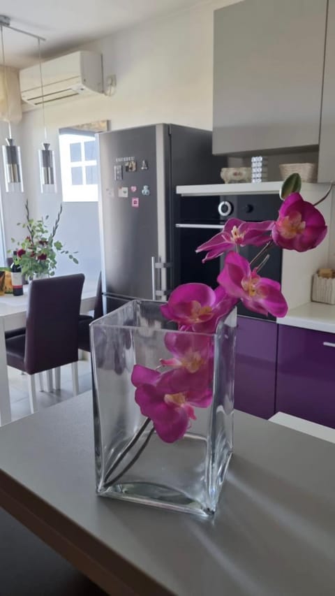 Apartment Natasha Apartment in Biograd na Moru