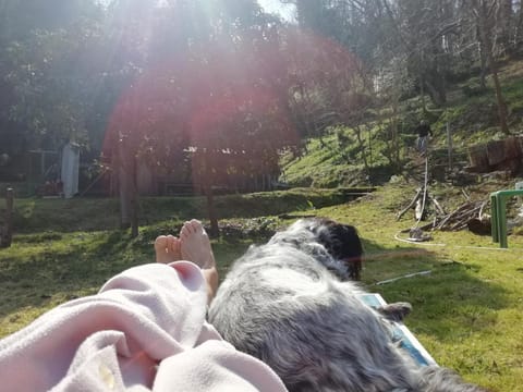 View (from property/room)