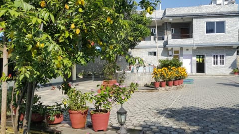 Facade/entrance, Garden view