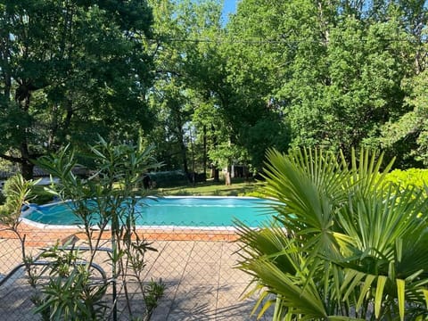 Garden, Pool view, Swimming pool