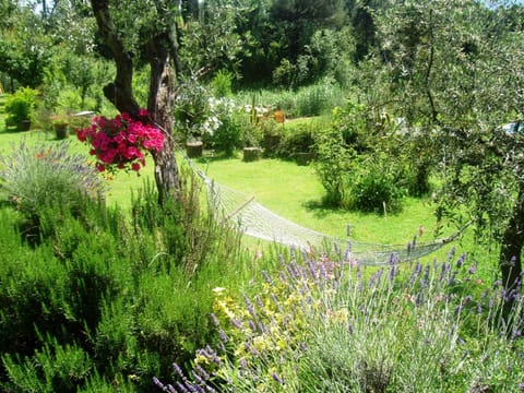 Day, Natural landscape, Garden, Garden view