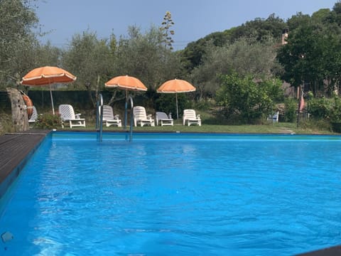 Day, Natural landscape, Garden, Garden view, Pool view, Swimming pool, sunbed