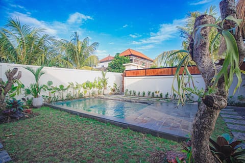 Day, Garden, Swimming pool