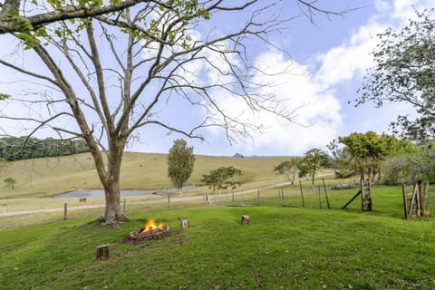 Natural landscape, Garden, Garden view, Mountain view