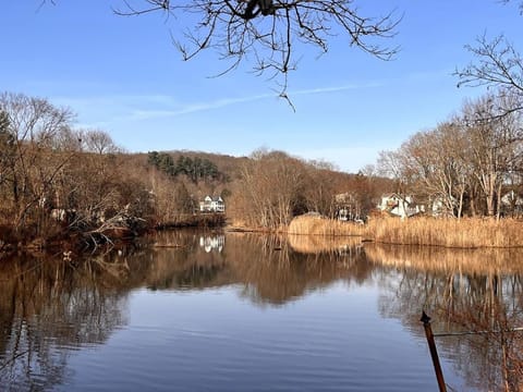 Private Modern 1st Flr 3 Bed Apt Close to Downtown Apartment in Torrington