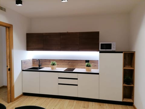 Kitchen or kitchenette, stove