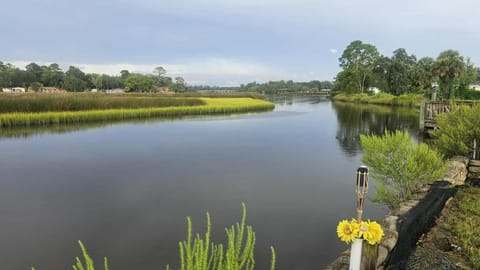 Natural landscape, Fishing, Fishing, Lake view, River view