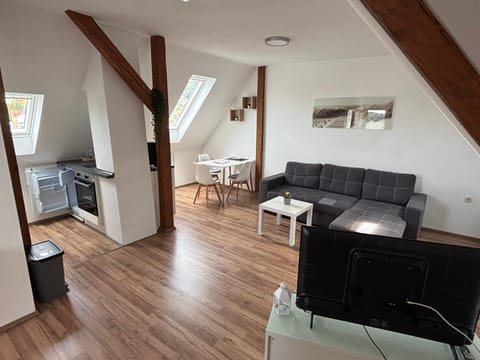 Kitchen or kitchenette, Living room, Seating area, Dining area, oven, stove