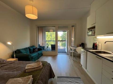 Balcony/Terrace, Living room, Seating area, Dining area, microwave