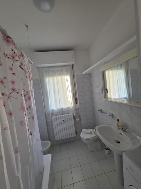 Toilet, Bathroom, bidet