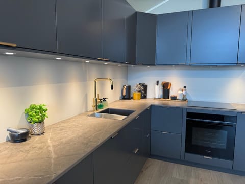 Coffee/tea facilities, Kitchen or kitchenette, dishwasher, stove