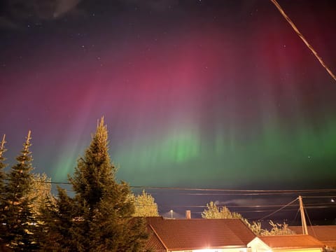 Night, Natural landscape, Garden view